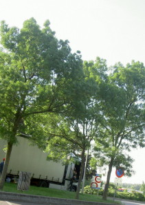 PICT2714.JPG