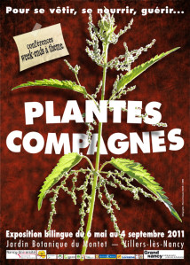 affiche-plantes compagnes 500px