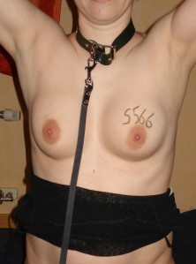s566cad-4