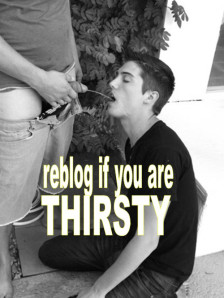tumblr_opgbynO4IA1w7ke47o1_500.jpg