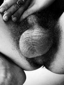 1--1--copie-18.jpg