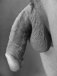 1--5--copie-3.jpg