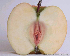 030-20pomme-20d-adam.jpg