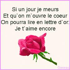 images-copie-1.jpg