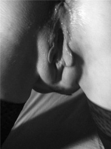 assfreema