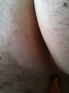 IMG 1016