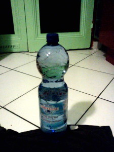 IMG184.jpg