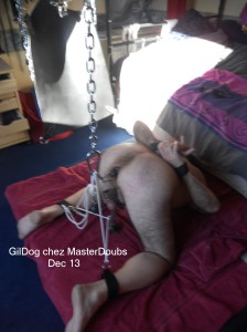 Gildog Chez MasterDoubs Dec 13 01