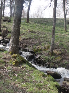 Cascade plan d'eau (2)