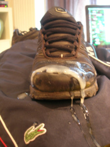 1--2--copie-6.jpg
