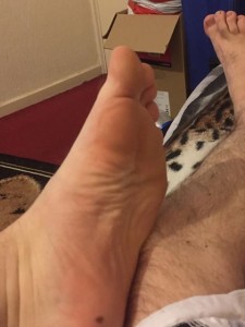 1--3--copie-10.jpg