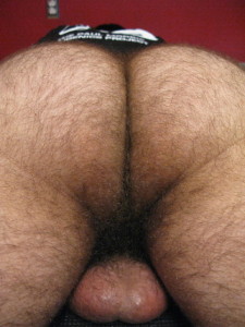 1--1--copie-23.jpg