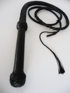 tumblr opr1oynQih1shsii1o1 500
