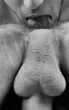 tumblr ny9c50gknT1sk8hjpo10 250