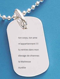 pendentif-plaque-americaine-4