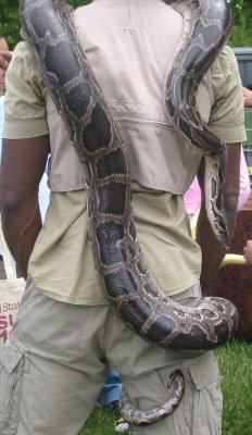 snake+man