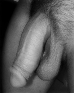 1--4--copie-2.jpg