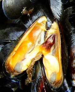 moule1.jpg