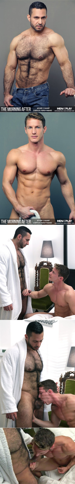 The-Morning-After-Starring-Adam-Champ---Darius-Ferdynand-v1.jpg