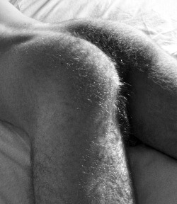 tumblr mm21xrelbJ1qb24rno9 250