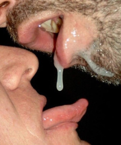 1--5--copie-4.jpg