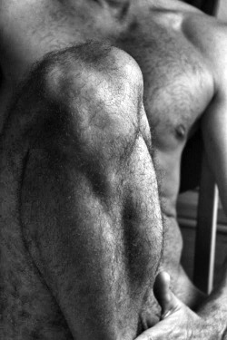tumblr mm21xrelbJ1qb24rno6 250