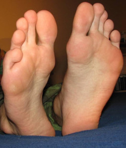 1--2--copie-28.jpg