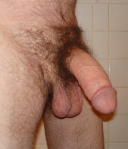 1--1--copie-26.jpg