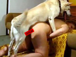 Une amatrice baisée par son chien
