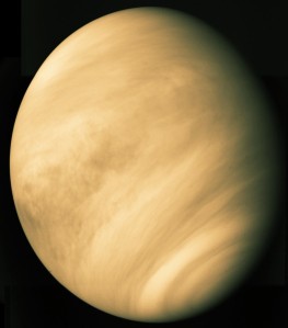 venus2.jpg