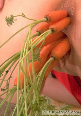 carottes1.jpg