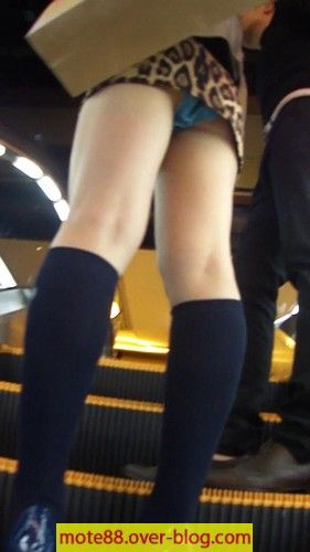 334_2011111873324.jpg