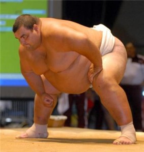 Sumo-Wrestler-11346.jpg