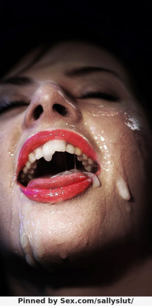 2934555-photo.jpg