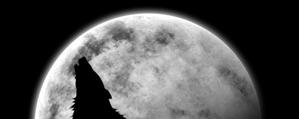 loup-lune.jpg