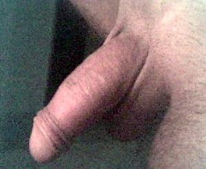 Image-001-copie-1.jpg