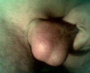 Image-003-copie-1.jpg