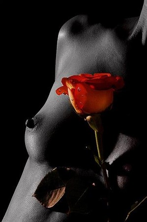 seins rose rouge