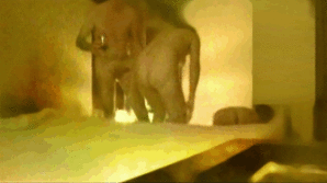03_frame-YhLj.gif