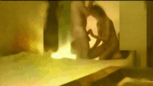 08_frame-YhLj.gif