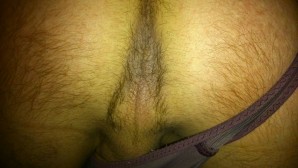 fesse 0460