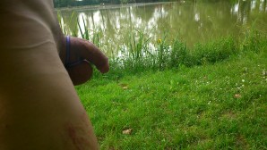 peche 0588[1]