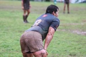 rugby 8163