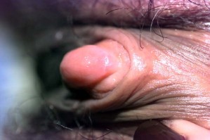 clitoris-33.jpg