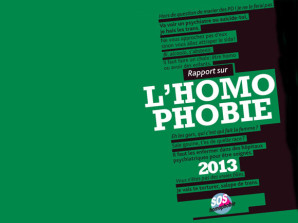 homophobie-rapport-2013