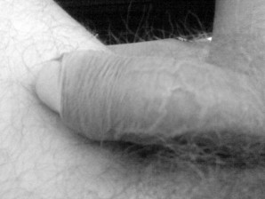 DSC01185