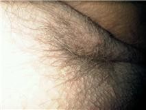 chatte-2.jpg
