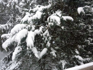 jour-de-neige-002.JPG