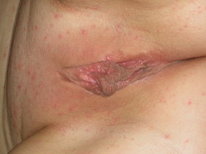 DSCN4713.JPG