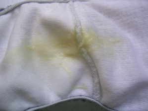 culotte-patricia.JPG